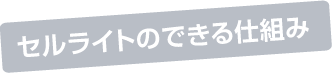 セルライトのできる仕組み